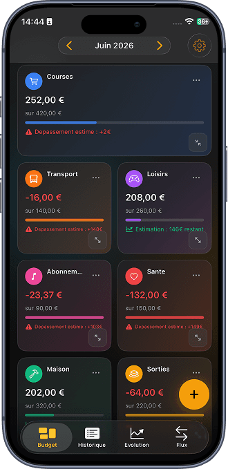 Dashboard Vizualy Budget